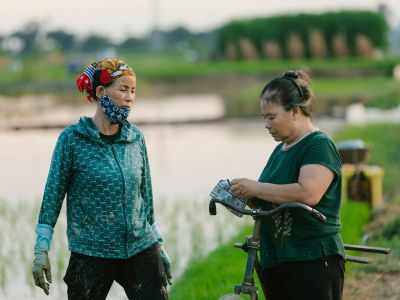 Pubblicato il Bando di Servizio civile universale agricolo e ambientale 2026